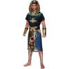 imageSpooktacular Creations Egyptian King Pharaoh Deluxe Halloween Costume For Men RolePlaying Cosplay