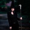 imageSpooktacular Creations Halloween Walking Cane Eagle Head Staff Costume Accessories for Halloween Themed Party Eagle Cosplay Prop Stick for Dress Up Party and Pretend Play Costume