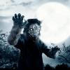 imageSpooktacular Creations Halloween Werewolf Glove Costume Accessories Gray Claw Gloves Therian Gloves for Kids Women Men Halloween Carnival Costume Cosplay Party Dress Up