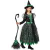 imageSpooktacular Creations Witch Costume Kids Light Up Halloween Costumes Witch Dress with Hat and Broom for Girls Sweet Wizard Set for Toddler Scary Halloween Themed Parties Green 3TGreen