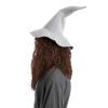 imageSpooktacular Creations Halloween Mens Grey Wizard Curly Wig with Beard Long Gray Funny Father Time Costume Accessory for Adults Cosplay Party Christmas AccessoriesBrown