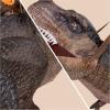 imageSpooktacular Creations Inflatable Dinosaur Costume Adult Ride on T Rex Blow Up Costume Inflatable Suit for Halloween Cosplay Themed Parties Brown XLarge71In
